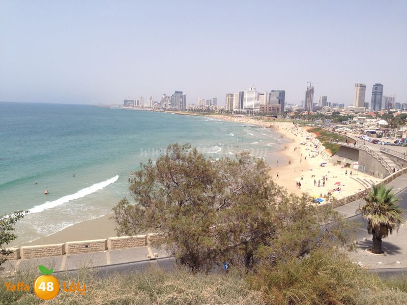 shate32 yaffasj (3).JPG